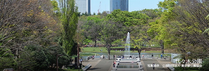 代々木公園 写真提供:公益財団法人 東京都公園協会